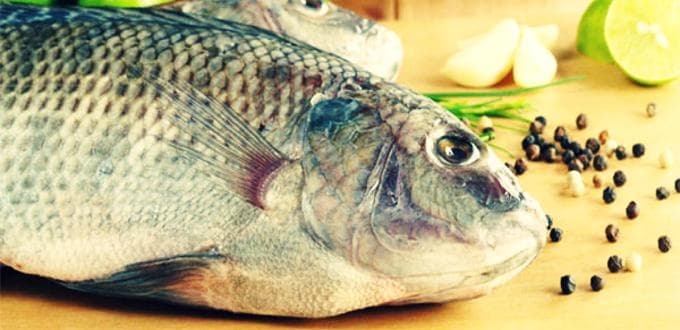 Ilustrasi ikan yang mengandung omega-3. (Sehatfresh)