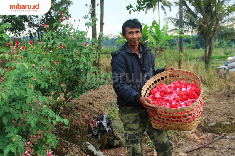 Singgih dengan hasil petikan mawarnya. (Inibaru.id/ Zulfa Anisah)