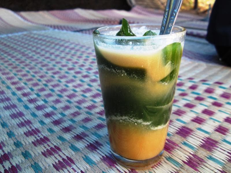 Cincau ternyata bisa mengatasi masalah malaria. (panduanwisata.id)