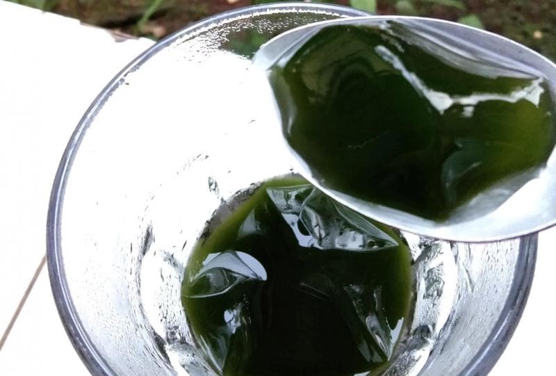 Cincau mengatasi konstipasi. (livenourishenjoy)