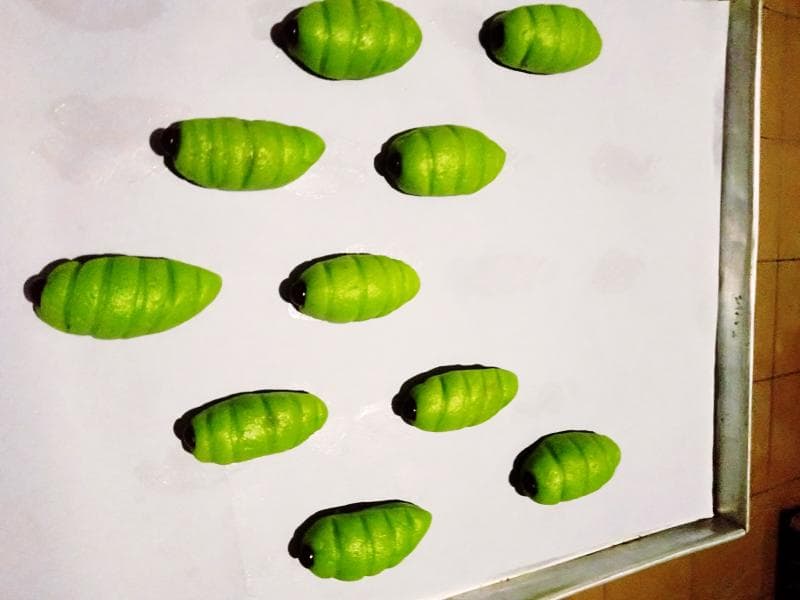 Nastar ulet daun yang lucu. (Dok. Ulfatul Fikriyah)