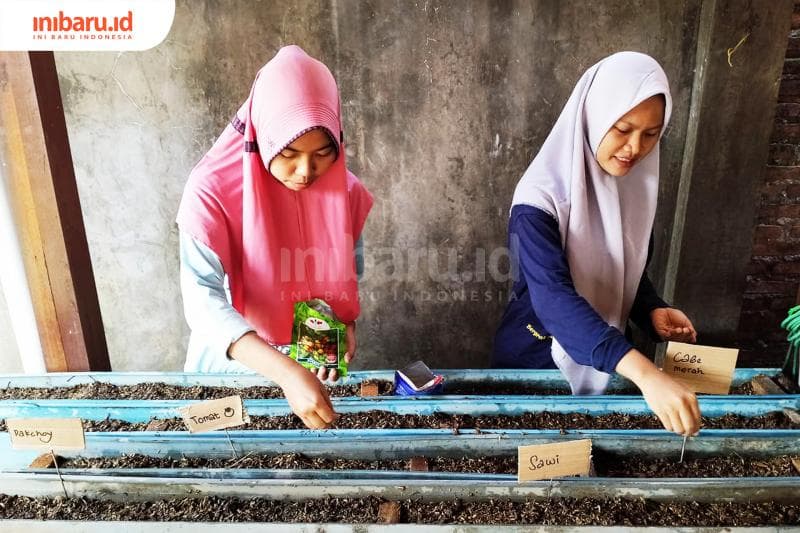 Berbagai benih sayuran mulai disemaikan. (Inibaru.id/ Rafida Azzundhani)