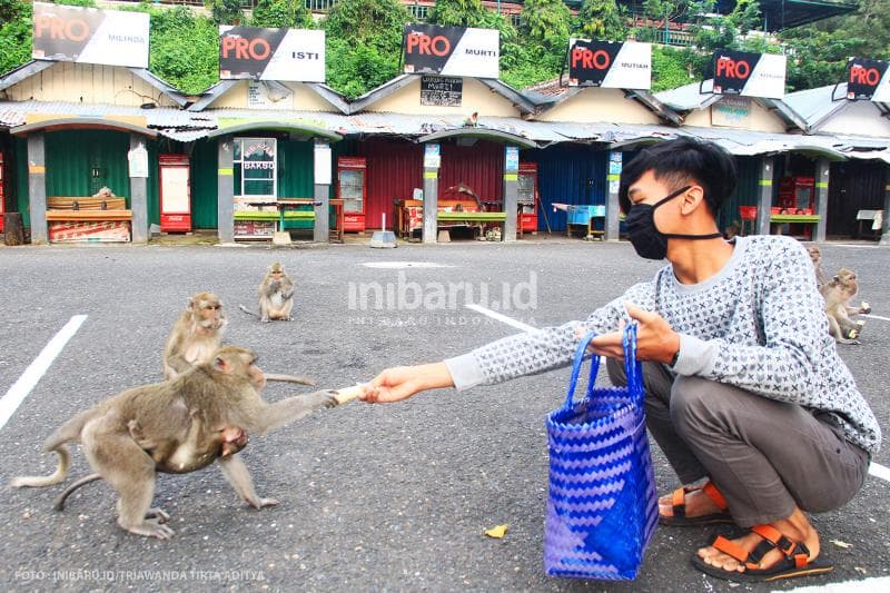 Warga setempat memberi makan kera di Goa Kreo. Penutupan lanskap unggulan Kota Semarang ini berimbas pada tutupnya warung-warung yang biasa melayani para wisatawan.<br>
