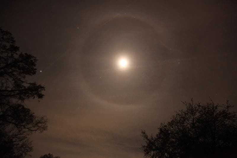 Fenomena bulan bercincin disebut sebagai halo bulan. (Flickr/

John Flannery)