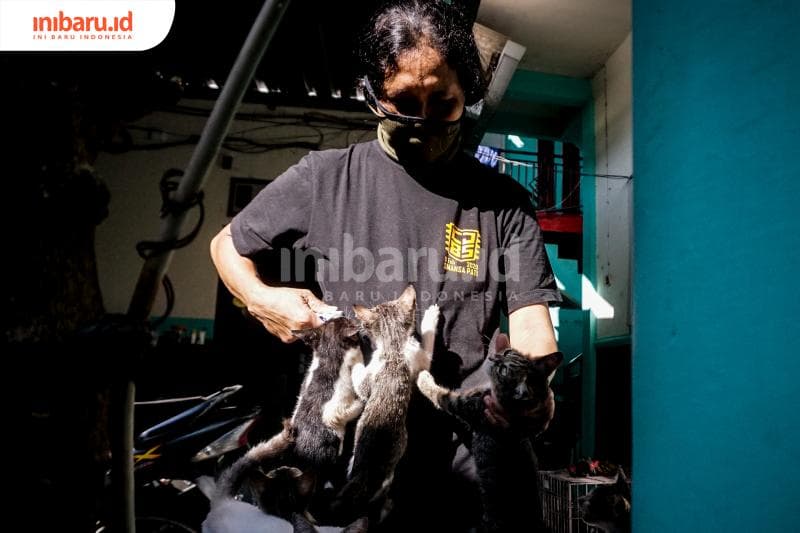 Astin dicintai kucing-kucing jalanan yang telah dia selamatkan. (Inibaru.id/ Audrian F)<br>