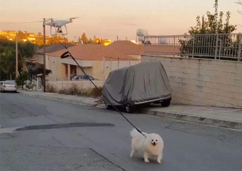 Anjing kepunyaan Vakis Demetriou di Limassol, Siprus, diajak jalan-jalan dengan drone di tengah pandemi corona pada 18 Maret 2020.(Facebook/Vakis Demetriou)