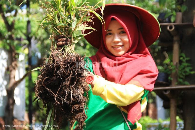 Regenerasi, salah seorang anggota Kelompok Tani Dahlia masih berusia 24 tahun.<br>