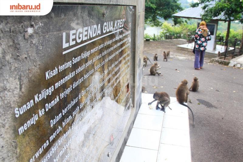 Bercengkerama dengan para kera di Goa Kreo? <i>Kuy</i>!&nbsp;(Inibaru.id/ Triawanda Tirta Aditya)