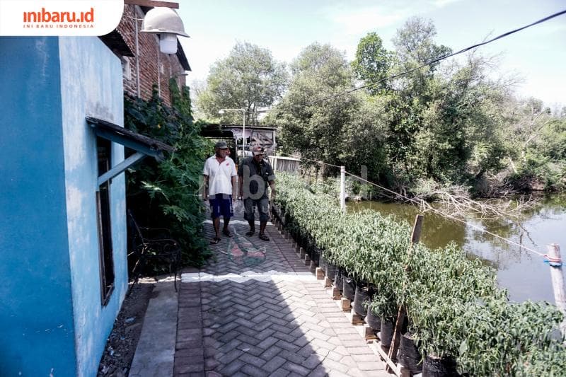 Lahan pertanian menggunakan tempat seadanya. (Inibaru.id/ Audrian F)<br>