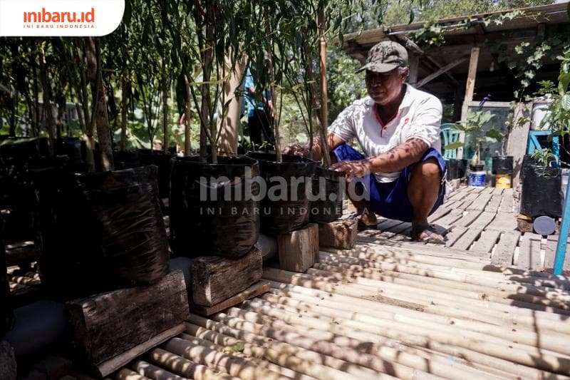 Metode semi-hidroponik cukup berhasil menyiasati kesulitan bercocok tanam di wilayah pesisir. (Inibaru.id/ Audrian F)<br>