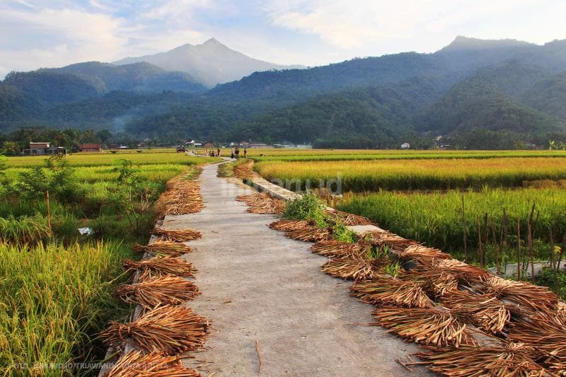 Pemandangan indah dari spot selfie Desa Rowoboni, Kecamatan Banyubiru, Kabupaten Semarang.<br>