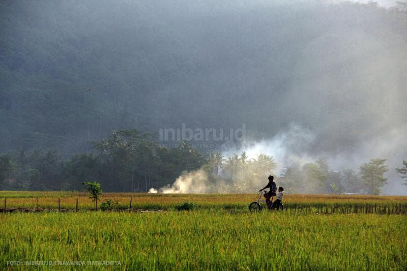 Bersepeda pada sore hari bisa menjadi kegiatan yang menyenangkan.<br>