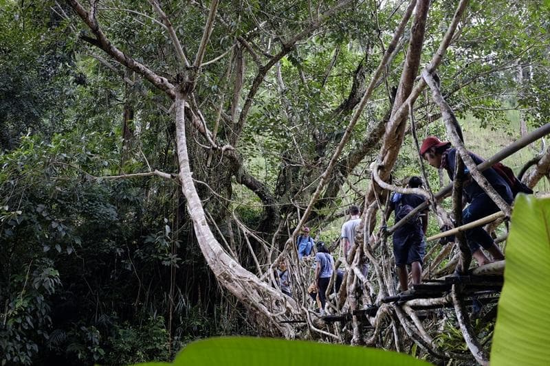 Jembatan Akar, Kampung Batara, Baduy Luar. (GNFI)
