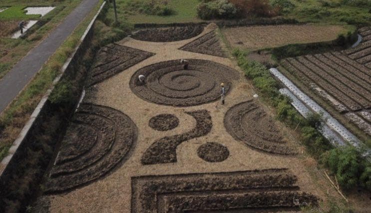 Ladang batik di Klaten. (Twitter/Kabarklaten)<br>