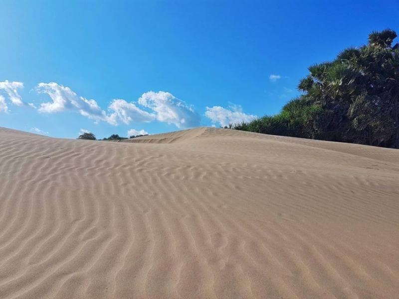 Nggak hanya di Timur Tengah, di Indonesia pun ada padang pasir. (Instagram.com/dionr1308)
