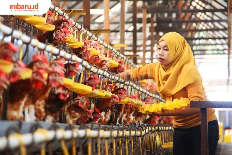 Ilustrasi: Perempuan terhebat adalah mereka yang bisa mengandalkan diri sendiri. (Inibaru.id/ Triawanda Tirta Aditya)