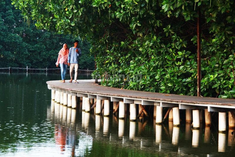 Yuk aja gebetan atau pacarmu untuk merasakan sensasi Tracking Mangrove di Grand Maerokoco.<br>