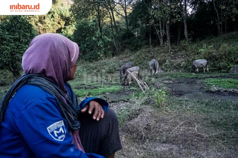 Mengawasi kerbau yang sedang minum. (Inibaru.id/ Audrian F)<br>