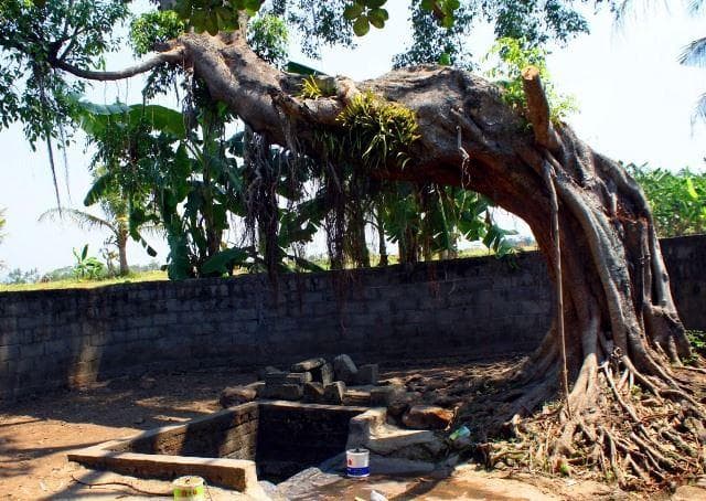 Ilustrasi mata air. (Halo Semarang)