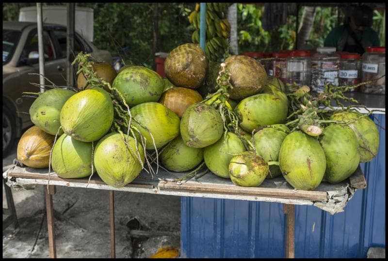 Minum air kelapa hijau dingin siang-siang memang sangat menyegarkan. (Flickr)