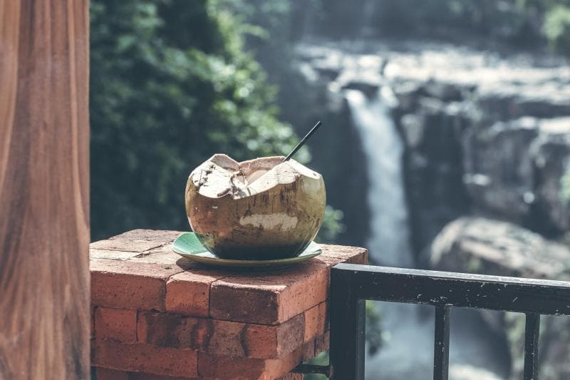 Air kelapa nggak berasal dari rembesan air hujan. (Flickr/

Artem Beliaikin)