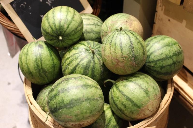 Tekstur jaring di kulit semangka menandakan kematangannya. (Flickr/Massachusetts Office of Travel and Tourism.)