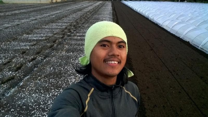 Zakaria Sidik saat bekerja menjadi petani di Jepang. (Youtube/Zakaria Sidik)<br>