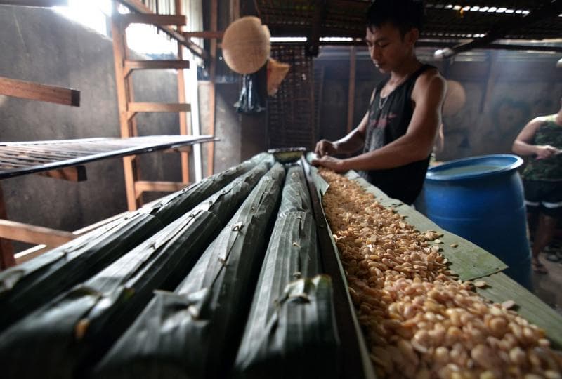 Ilustrasi: Pabrik pembuatan tempe. (MI/Antara/Wahdi Septiawan)