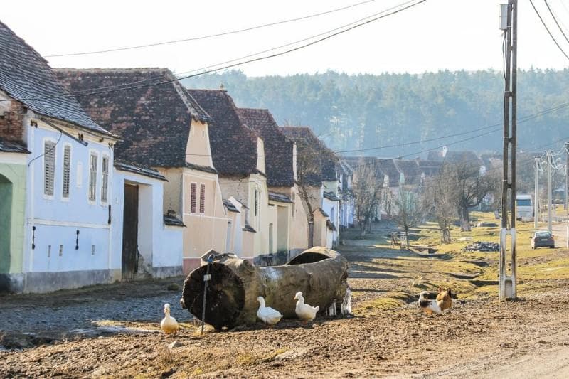 Kedatangan turis di Viscri nggak hanya mengganggu warganya, lo. (Cityoftheweek)