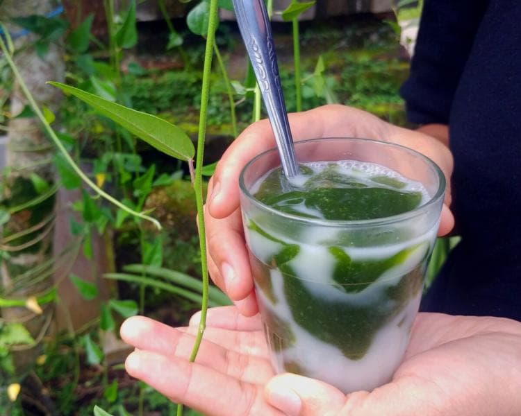 Sama-sama menyegarkan, cincau hijau dan cincau hitam ternyata berbeda. (Ariastra.my.id)
