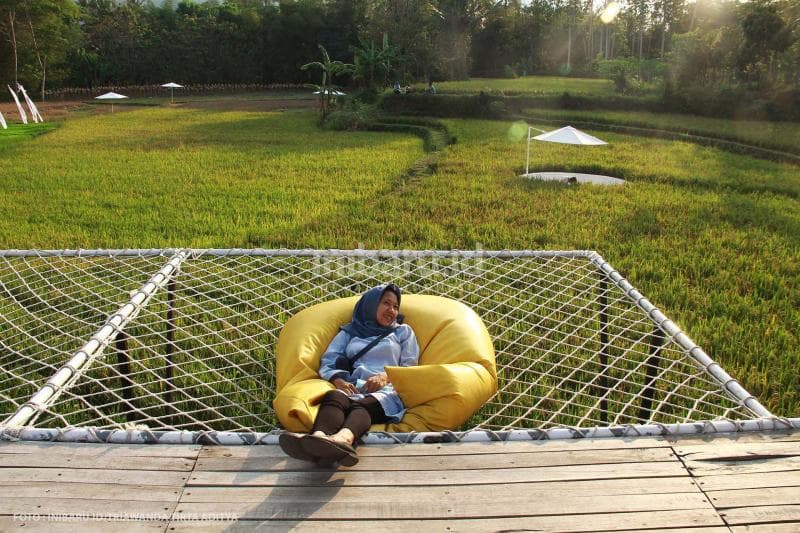 Kalau datang ke sini, kamu bisa bobo santuy di atas sofa sambil menikmati pemandangan sawah.<br>