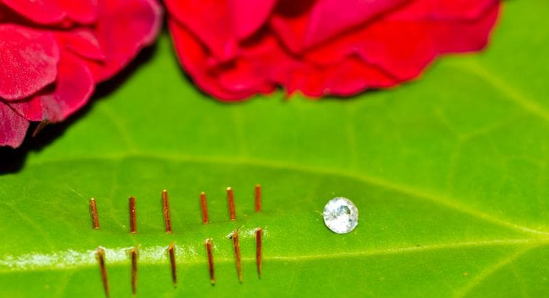 Susuk emas dan berlian. (net)