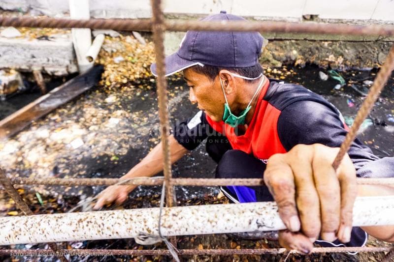 Langsung memungut dengan tangan.<br>