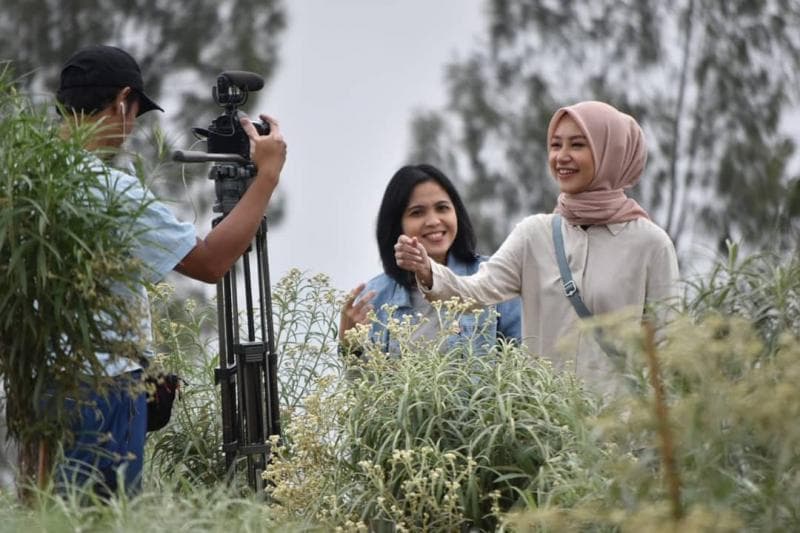 Bisa foto di tengah hamparan edelweis. (TNBTS)