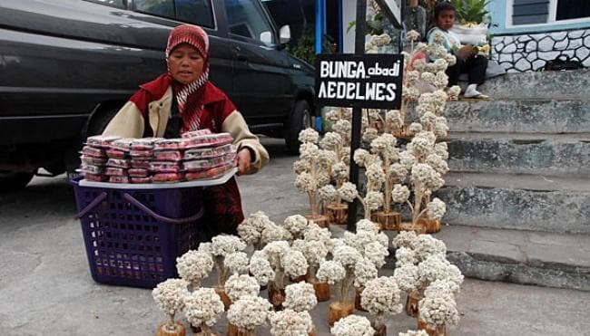Beli suvenir edelwis juga bisa. (travel.tempo)