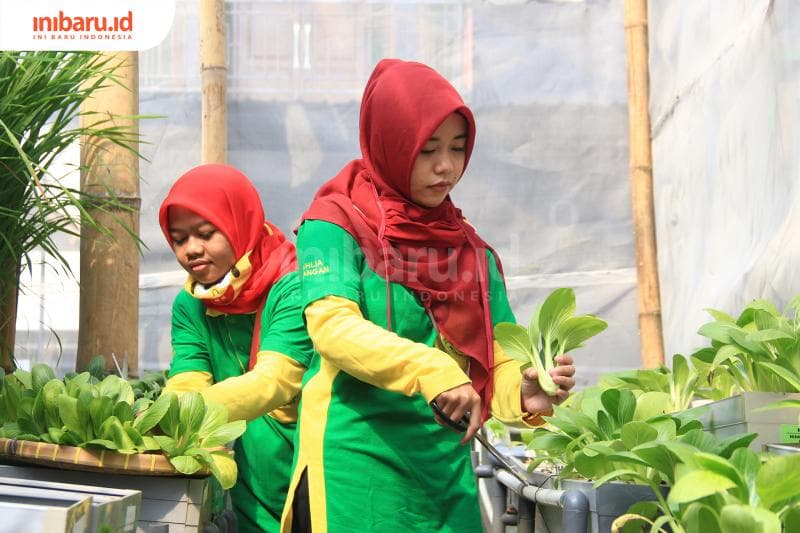 Ilustrasi produk organik. (Inibaru.id/ Triawanda Tirta Aditya)