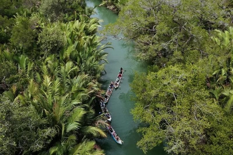 Ujung Kulon. (Exotic Indonesian Tourism)
