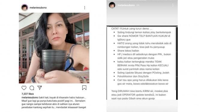 Unggahan Melanie Subono yang menolak UU Omnibus Law. (Instagram/Melaniesubono)