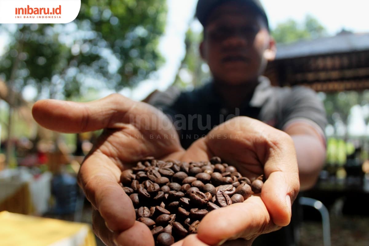 Luluk, pengusaha kopi asal Desa Kelet, Kecamatan Keling menunjukkan biji kopi robusta yang telah disangrai dari petani Desa Tempur. (Inibaru.id/ Pranoto)