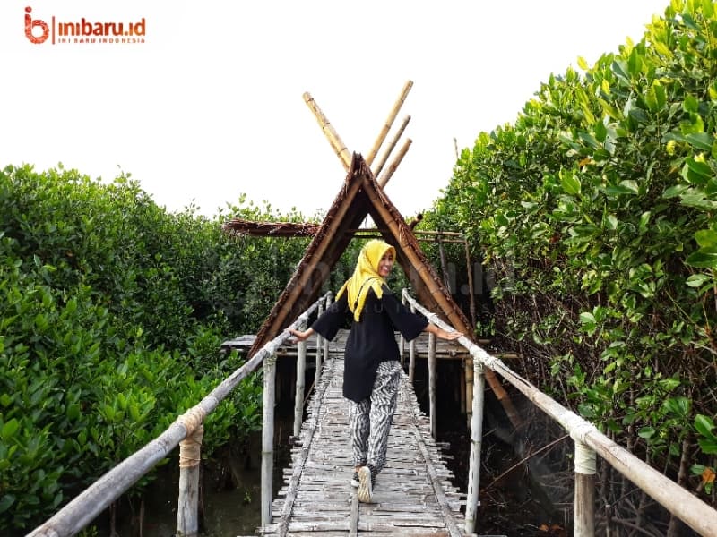 Wisata mangrove di Semarang. (Inibaru.id/Faidah Umu)