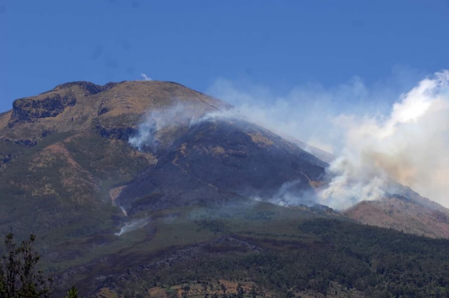 Kebakaran hutan di Gunung SIndoro sudah berhasil dipadamkan. (Krjogja.com)