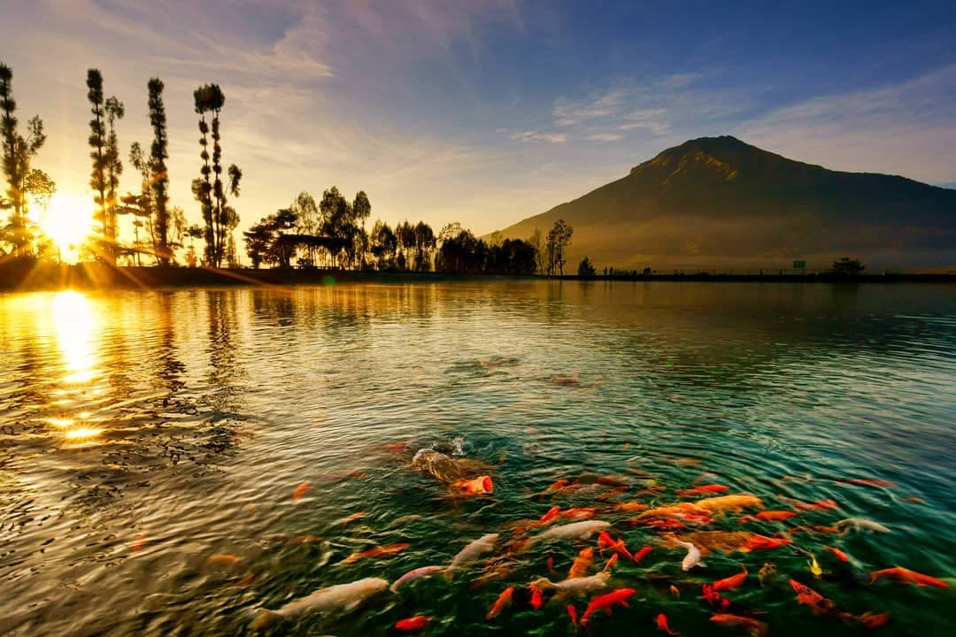 Embung Kledung (travelingyuk.com)