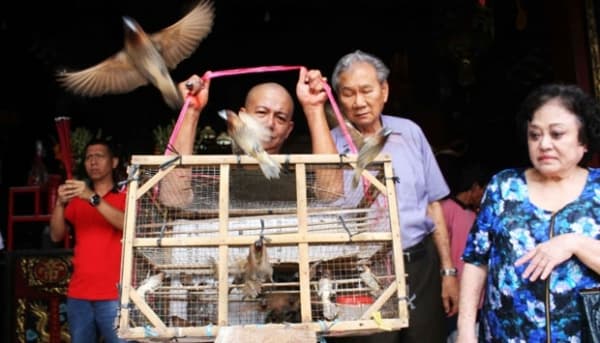 Euforia saat melepaskan merpati secara bersamaan dalam tradisi Fang Shen di Kelenteng Grajen, Semarang. (Tempo/Budi Purwanto)