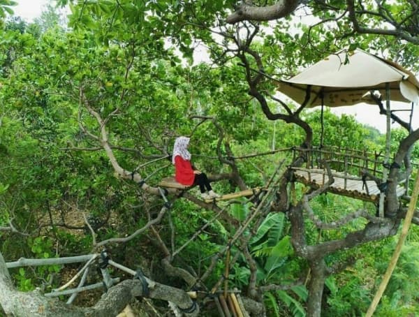 Rumah Pohon Goa Cocor Kebumen. (Datawisata)