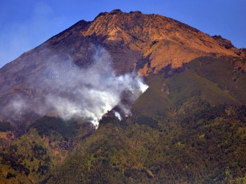 Kebakaran di Gunung Sumbing. (Antaranews.com)