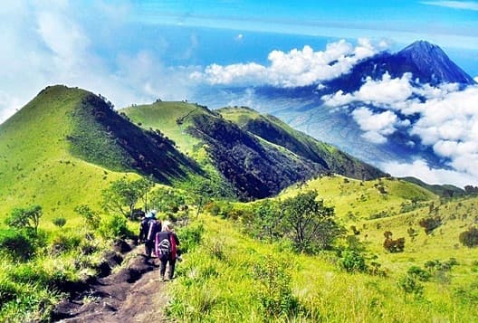 Gunung Merbabu ditutup selama sebulan. (Kesiniaja)