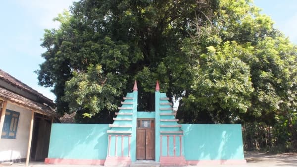 Pohon Ketos di Klaten. (nadialutfianamawarni.wordpress)