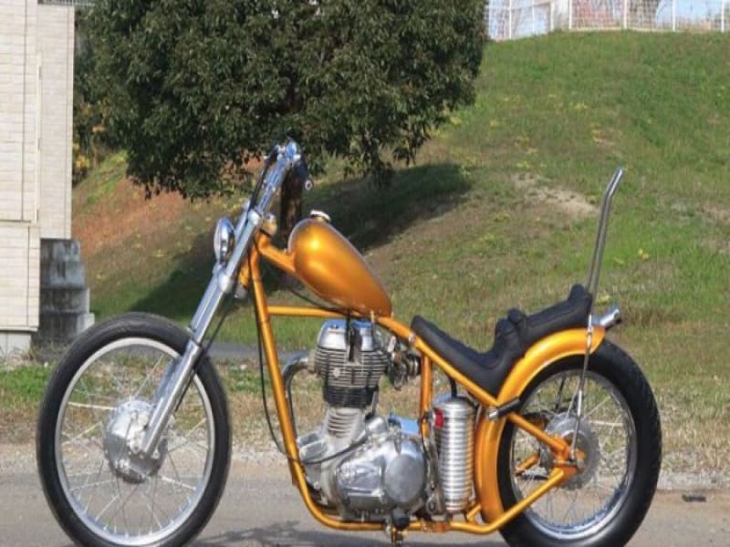 Motor Anyar Jokowi di Istana Bogor