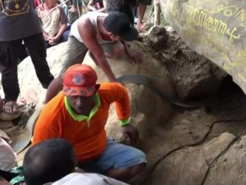 Lokasi penggalian harta karun di Hutan RPH Mumbulsari, Jember, Jawa Timur. (Liputan6.com) 