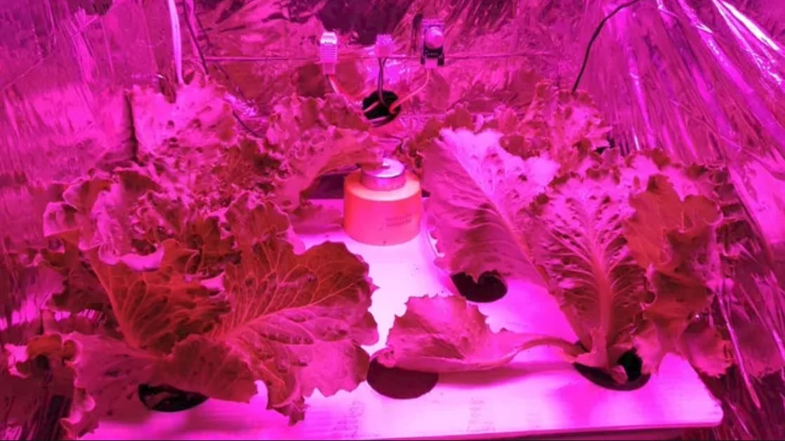 Autogrow. (itb.ac.id)